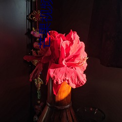 尊龙凯时·(中国)官方网站
