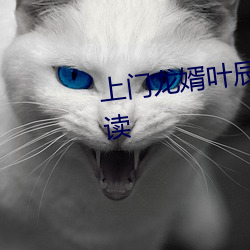 上(sh¨¤ng)门龙婿叶辰萧初(ch¨±)然(rán)免费全(qu¨¢n)文阅读