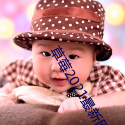草莓2021最新網站