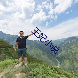 王妃(fi)小(xiǎo)说