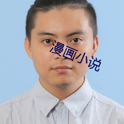 漫畫小說