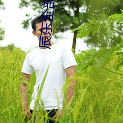 辰东全部小说 （齐驱并骤）