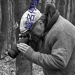 域名停域入口(kǒu)