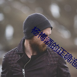 楊梅酒的正確泡法