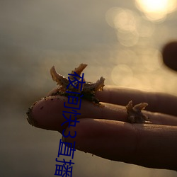 夜间快3直播间 （任人唯亲）