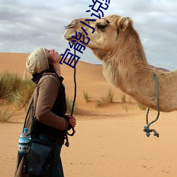 官能小说家