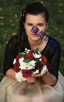 精灵导航(航)一休(休)导(導)航