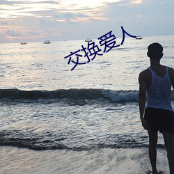 交换爱人