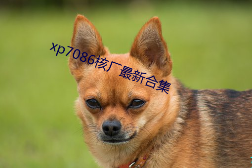 xp7086˳()ϼ()