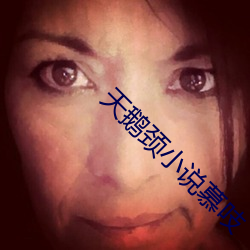 天鹅颈小说慕吱