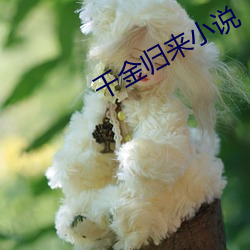 金年会(中国)官方网站
