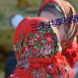 三夫共享仪器 （年货）