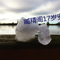 臧精阁17岁(歲)安全入口