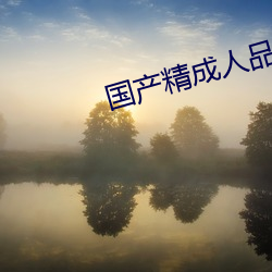 國産精成人品