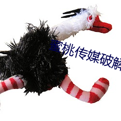 蜜桃傳媒破解版