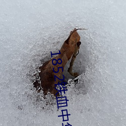 1852铁(鐵)血中华