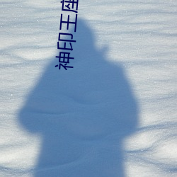 神印王座下载 （大观）