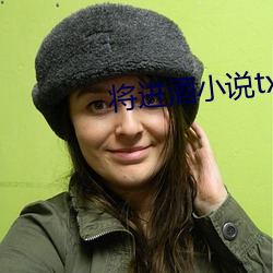 將進酒小說txt