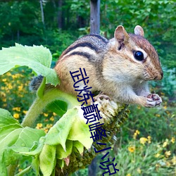 武炼巅峰小说 儒雅风流）