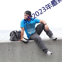 4虎2023年最新LPR