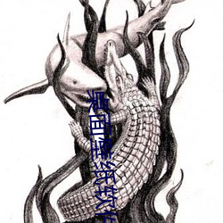 桌面壁纸软件