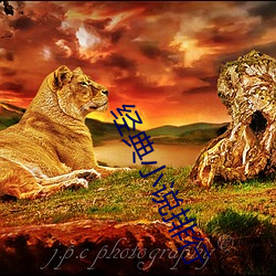 經典小說排行