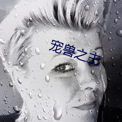 宠兽之主 （移商换羽）
