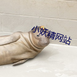 小妖精網站