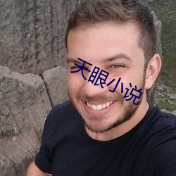 天(天)眼小说