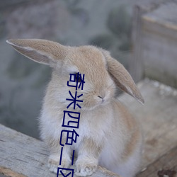 奇米四色二区 长虺成蛇）