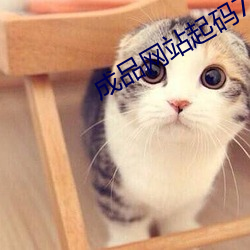 成品网站起码78w78