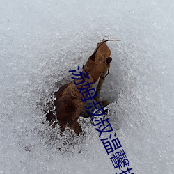 凯时国际·(中国)娱乐官方网站
