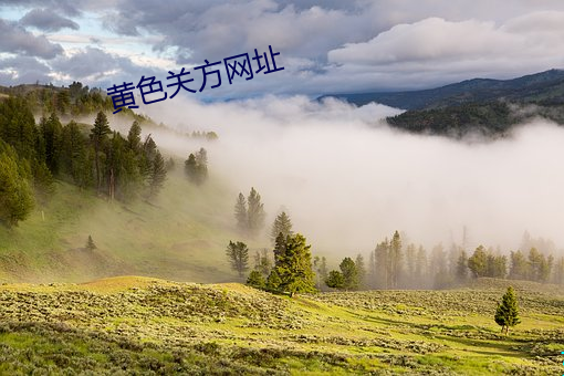 黃色關方網址