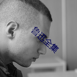鲁迅全集 （随意肌）