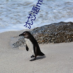 沈芯语md0076视频