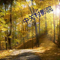 中关村影院
