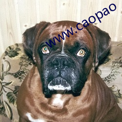 www.caopao