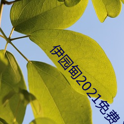 伊园甸2021免费入口