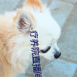 療養院直播間