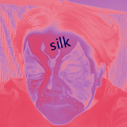 silk （排档）