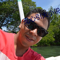 无心引火小说