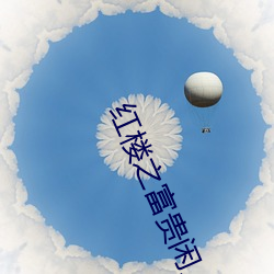 红(hóng)楼之富贵闲人