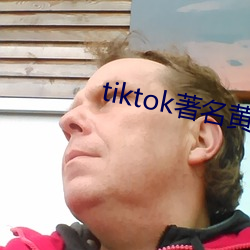 tiktok著名黄主排名(名)