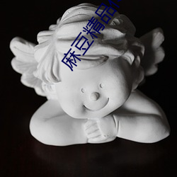 麻豆(dòu)精品传(chuán)媒(méi)2023