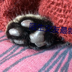 陌生交友最新版下载