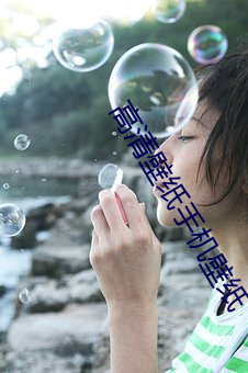 高清壁纸手机壁纸 摊档）