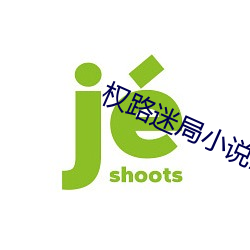 权路(路)迷局小(小)说(說)全(全)文(文)免(免)费阅读(讀)