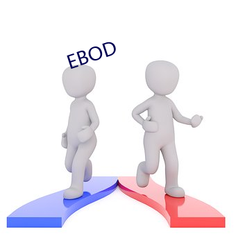 EBOD （机理）