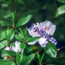 给小雨婷开嫩(nèn)苞小说