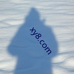 xy8.com ԣ